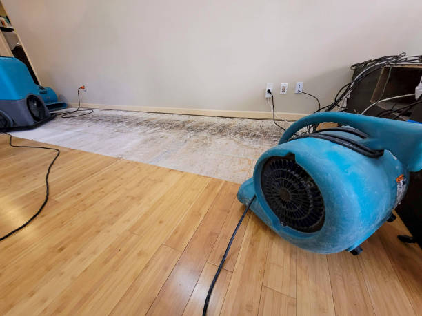 Professional Water Damage Repair technician working in Devens, MA